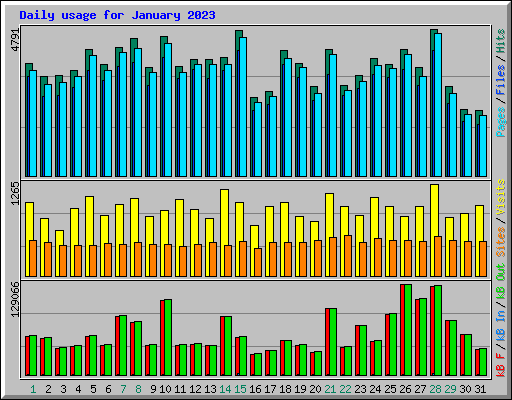 Daily usage for January 2023