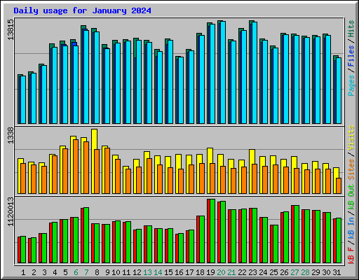 Daily usage for January 2024