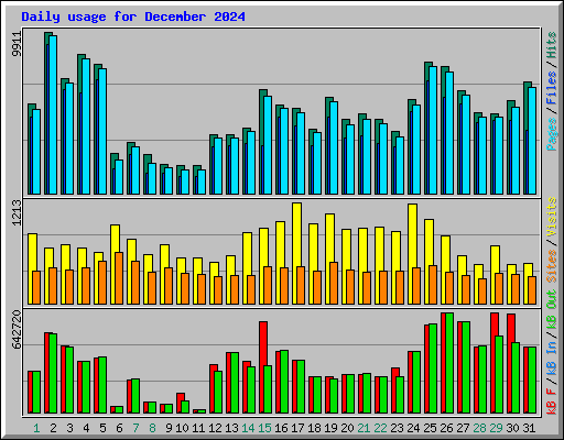 Daily usage for December 2024
