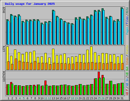Daily usage for January 2025