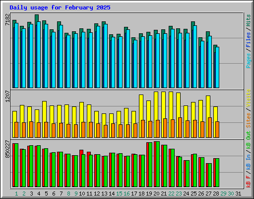 Daily usage for February 2025