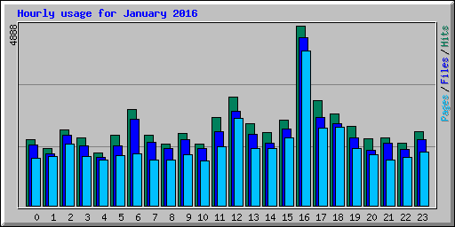 Hourly usage for January 2016