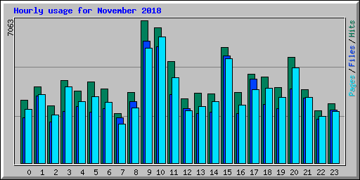 Hourly usage for November 2018