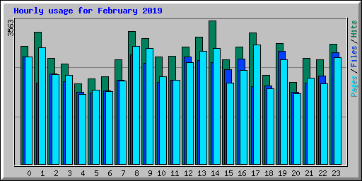 Hourly usage for February 2019