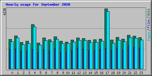 Hourly usage for September 2020