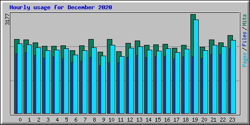 Hourly usage for December 2020