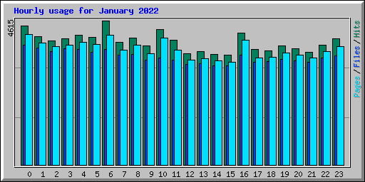 Hourly usage for January 2022
