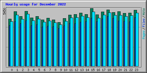 Hourly usage for December 2022