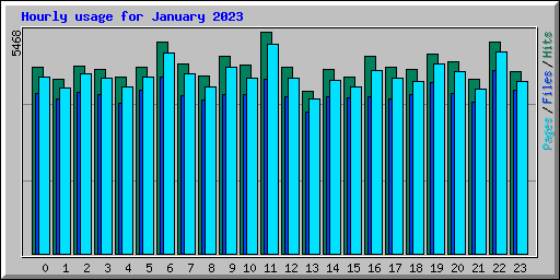 Hourly usage for January 2023