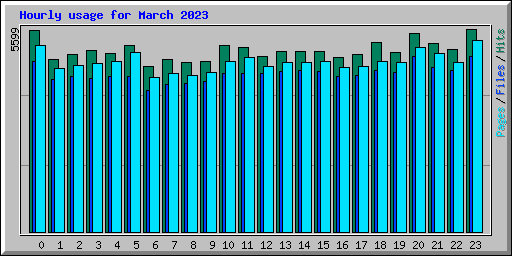 Hourly usage for March 2023
