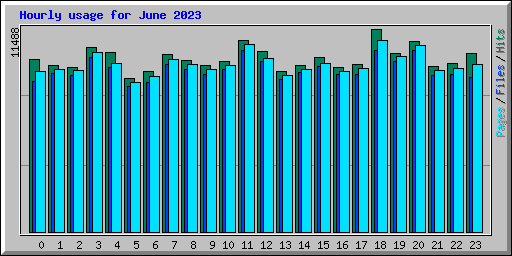 Hourly usage for June 2023