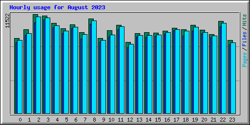 Hourly usage for August 2023