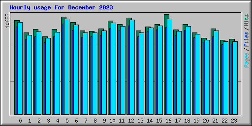 Hourly usage for December 2023