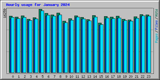 Hourly usage for January 2024