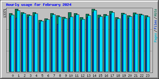 Hourly usage for February 2024
