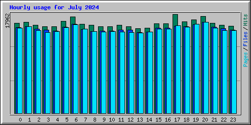 Hourly usage for July 2024