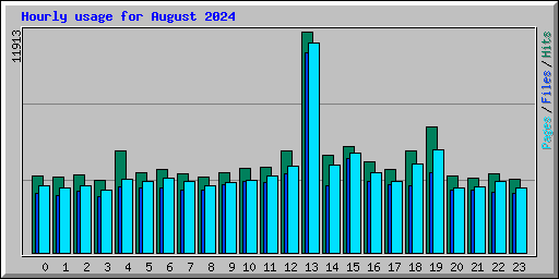 Hourly usage for August 2024