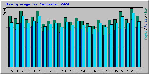 Hourly usage for September 2024