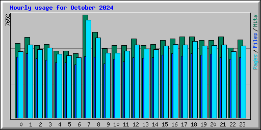 Hourly usage for October 2024