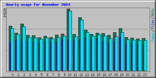 Hourly usage for November 2024