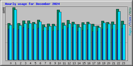 Hourly usage for December 2024