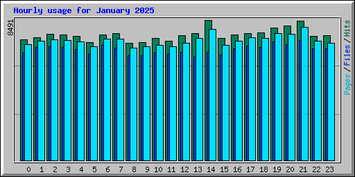 Hourly usage for January 2025
