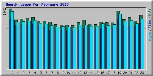 Hourly usage for February 2025