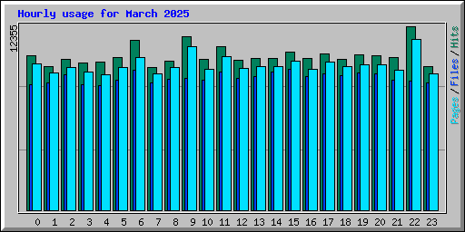 Hourly usage for March 2025
