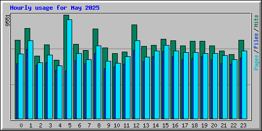 Hourly usage for May 2025