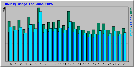 Hourly usage for June 2025