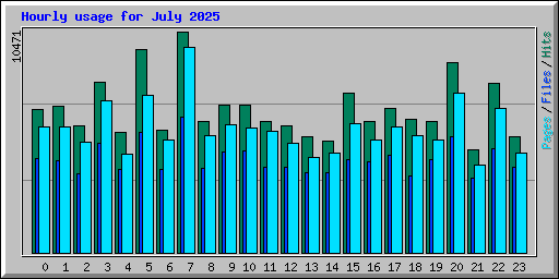 Hourly usage for July 2025