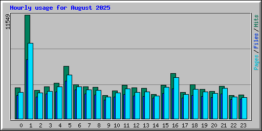 Hourly usage for August 2025