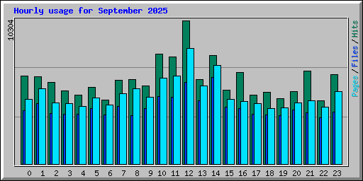 Hourly usage for September 2025