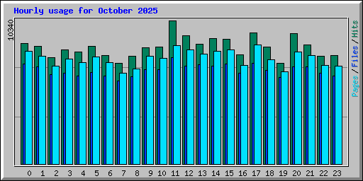 Hourly usage for October 2025
