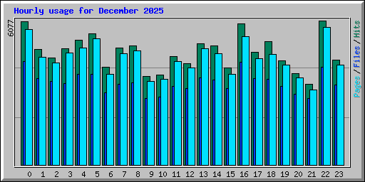 Hourly usage for December 2025