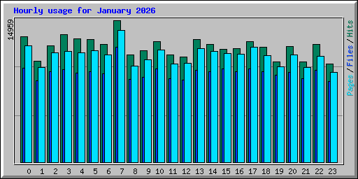 Hourly usage for January 2026