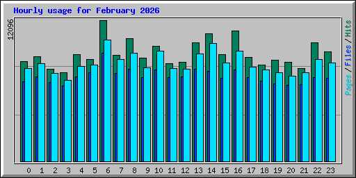 Hourly usage for February 2026